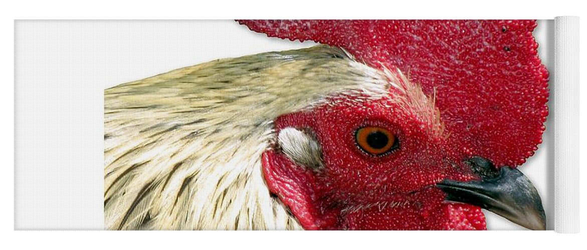 Key West Yoga Mat featuring the photograph Special Edition Key West Rooster by Bob Slitzan