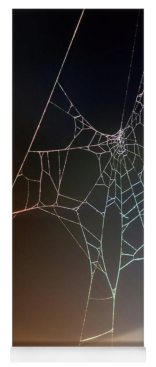 Spider Yoga Mat featuring the photograph Spider Web by Carlos Caetano