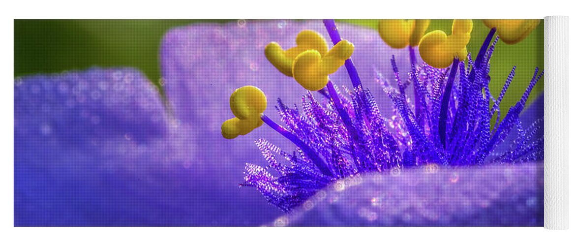 Indiana Yoga Mat featuring the photograph Spiderwort Filament Macro by Ron Pate