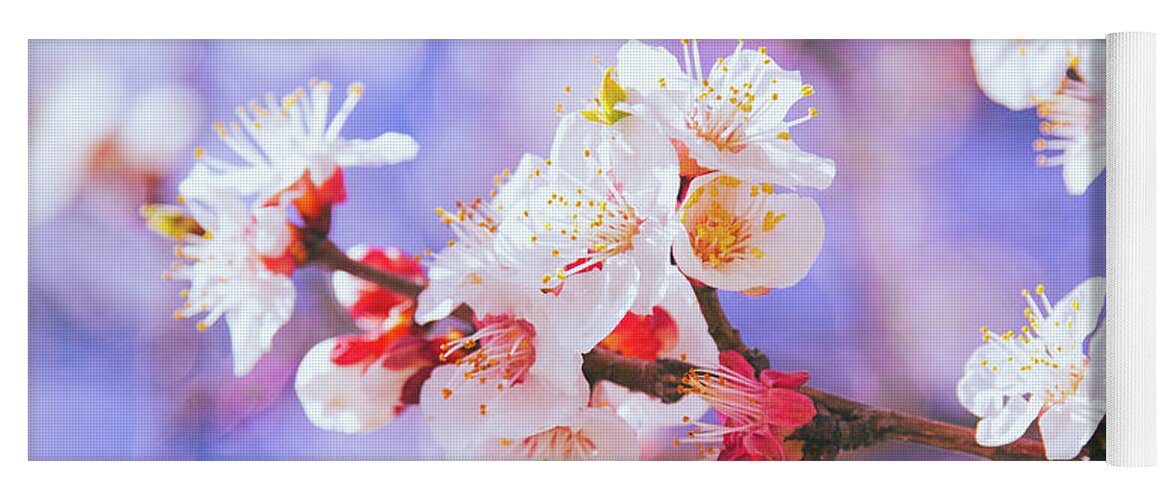 Cherry Blossom Yoga Mat featuring the photograph Spring Arrives by Becqi Sherman