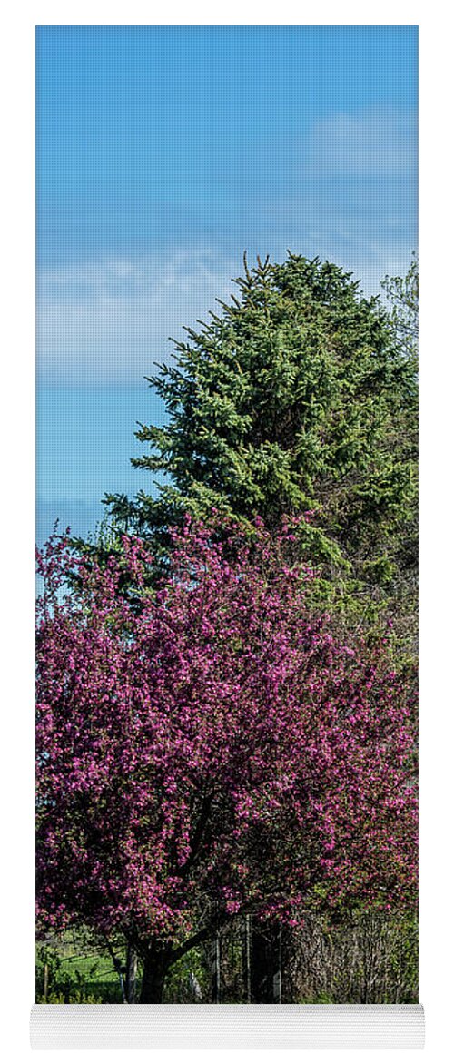 Spring Yoga Mat featuring the photograph Spring Blossoms by Paul Freidlund