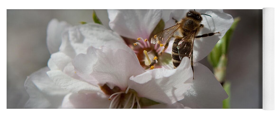 Bee Yoga Mat featuring the photograph Spring Buzz by Denise Dethlefsen