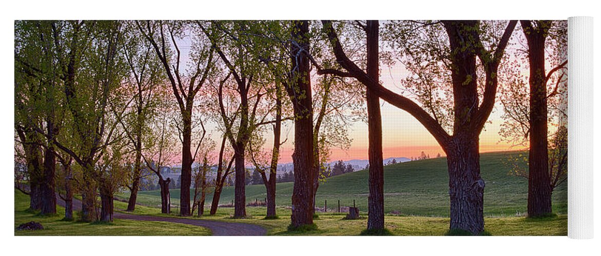Idaho Yoga Mat featuring the photograph Spring Drive by Idaho Scenic Images Linda Lantzy