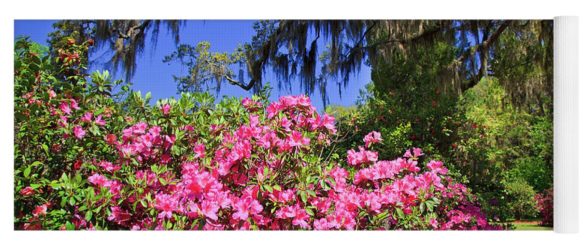 Pink Yoga Mat featuring the photograph Spring in the South by Jill Lang