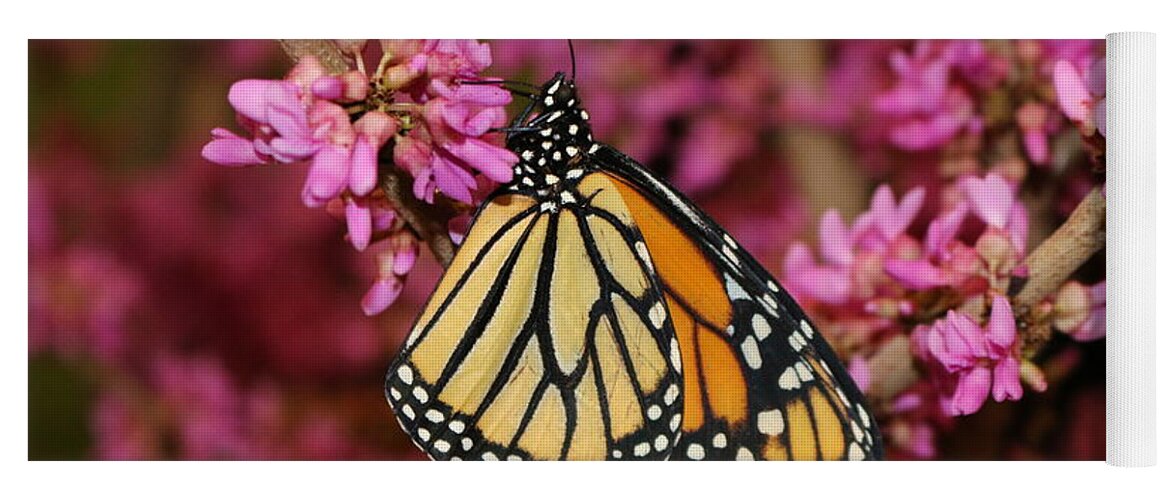 Monarch Yoga Mat featuring the photograph Spring Monarch by Living Color Photography Lorraine Lynch