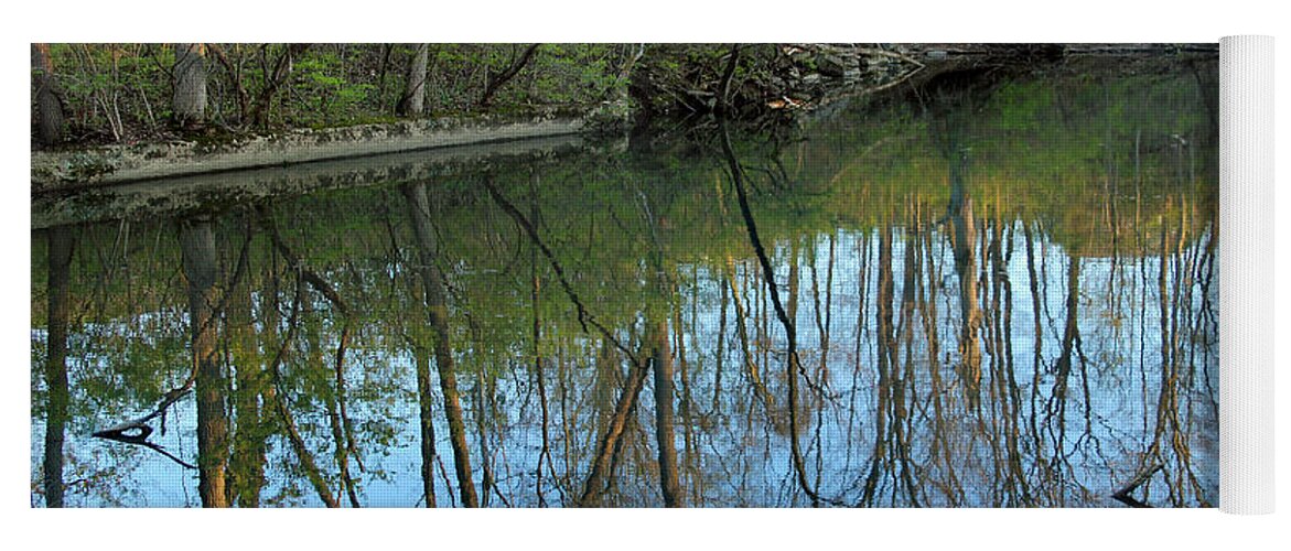 Reflections Yoga Mat featuring the photograph Spring Reflections by Karen Adams