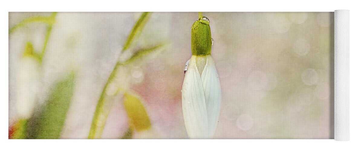 Snowdrops Yoga Mat featuring the photograph Spring Snowdrops and Bokeh by Peggy Collins
