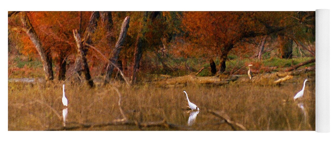 Landscape Yoga Mat featuring the photograph Squaw Creek Egrets by Steve Karol