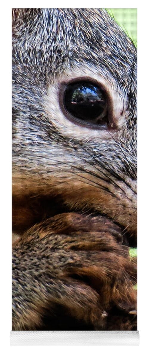 Nature Yoga Mat featuring the photograph Squirrel 3 by Christy Garavetto