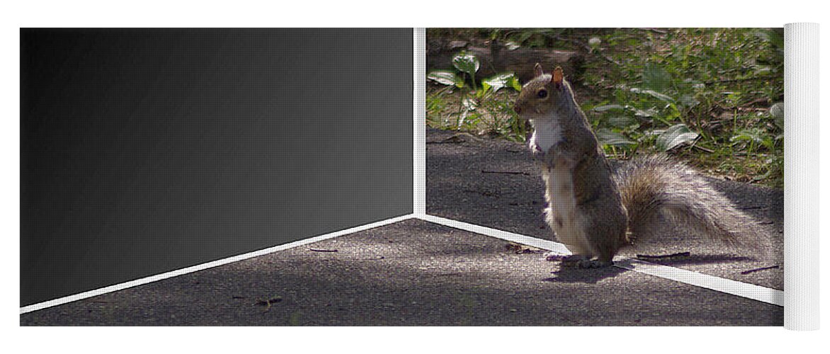 2d Yoga Mat featuring the photograph Squirrel World by Brian Wallace