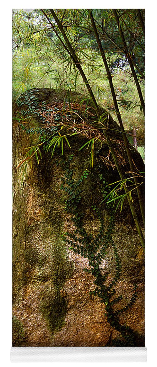 Standing Stone Yoga Mat featuring the photograph Standing Stone with Fern and Bamboo 19A by Gerry Gantt