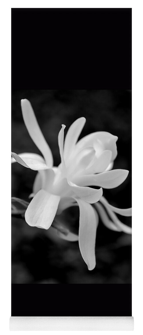 Magnolia Yoga Mat featuring the photograph Star Magnolia Flower Black and White by Jennie Marie Schell