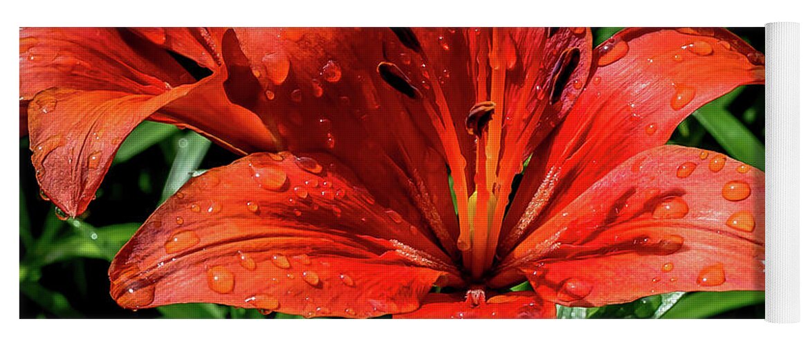 Lily Yoga Mat featuring the digital art Star of the Spring Flowers by Ed Stines