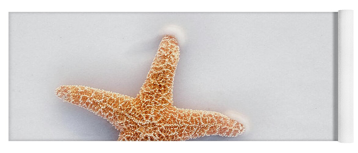 Destin Yoga Mat featuring the photograph Starfish by Robert Bellomy