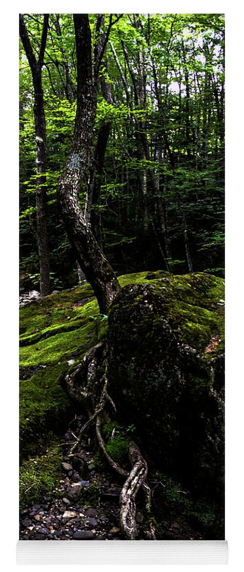 River Yoga Mat featuring the photograph Stevensville Brook in Underhill, Vermont - 4 by James Aiken