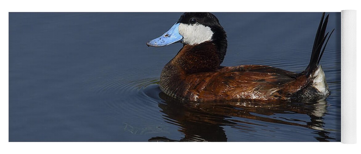 Ruddy Duck Yoga Mat featuring the photograph Stiff Tail by Tony Beck