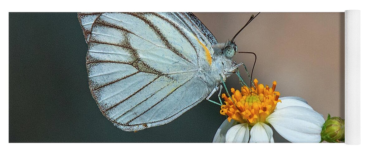 Nature Yoga Mat featuring the photograph Striped Albatross Butterfly DTHN0209 by Gerry Gantt