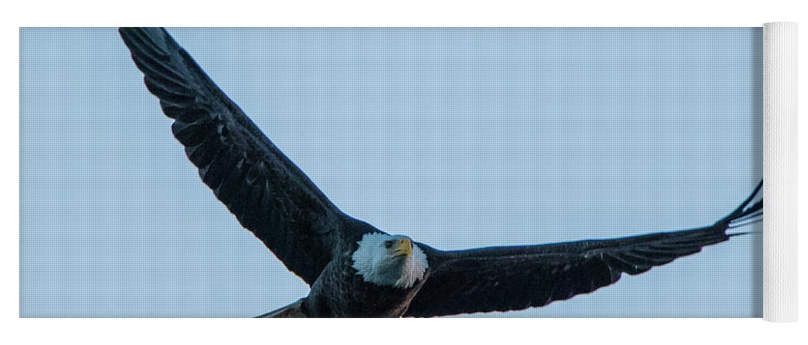 11 November 2016 Yoga Mat featuring the photograph Successful Bald Eagle by Jeff at JSJ Photography