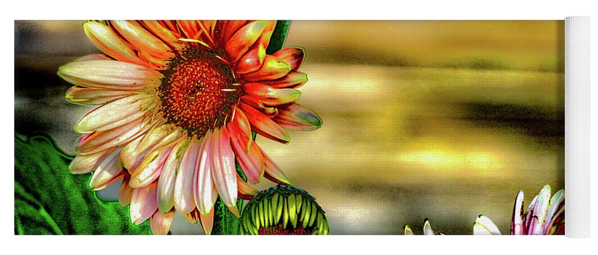 Flower Yoga Mat featuring the photograph Summer Daisy by William Norton