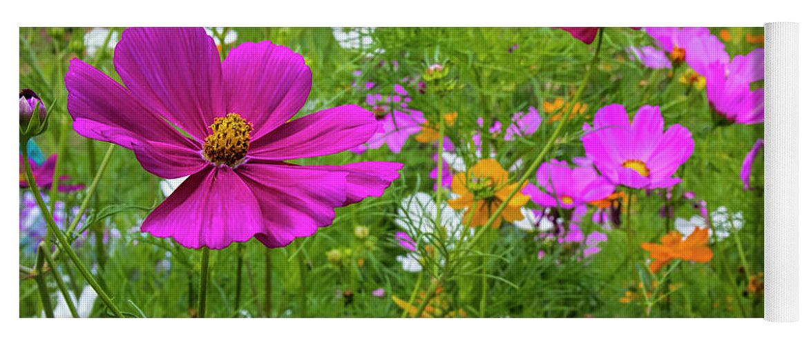 Flower Garden Yoga Mat featuring the photograph Summer Flower Garden by Barbara Bowen