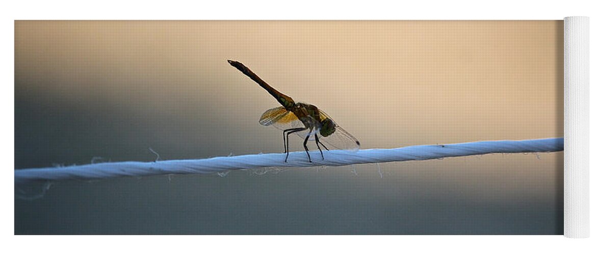 Dragon Fly Yoga Mat featuring the photograph Summer Line Dancer by Susan Herber