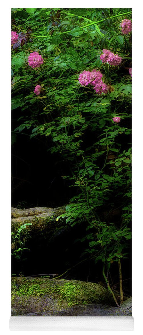 Roses Yoga Mat featuring the photograph Summer Rose Along The River by Michael Eingle
