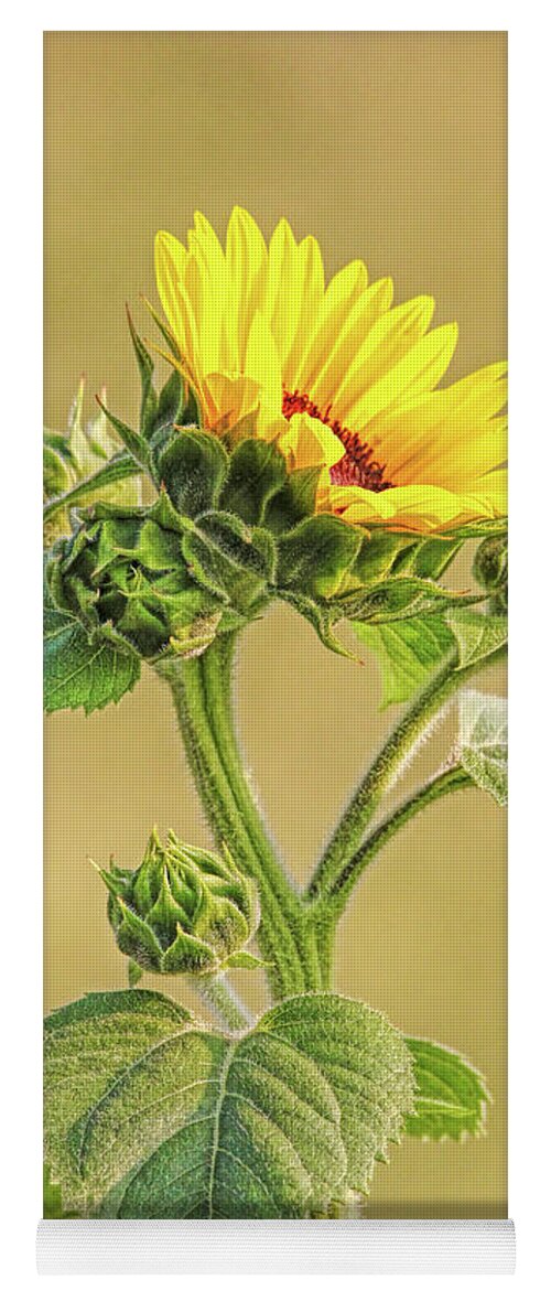 Sunflower Yoga Mat featuring the photograph Summer Sunflower Floral by Jennie Marie Schell