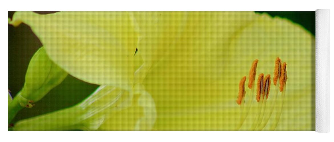Photograph Yoga Mat featuring the photograph Sun Licking Yellow Day Lily by M E