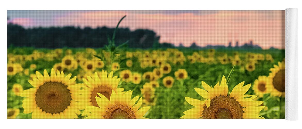 Photography Yoga Mat featuring the photograph Sun Ray Sunflower by Joe Kopp