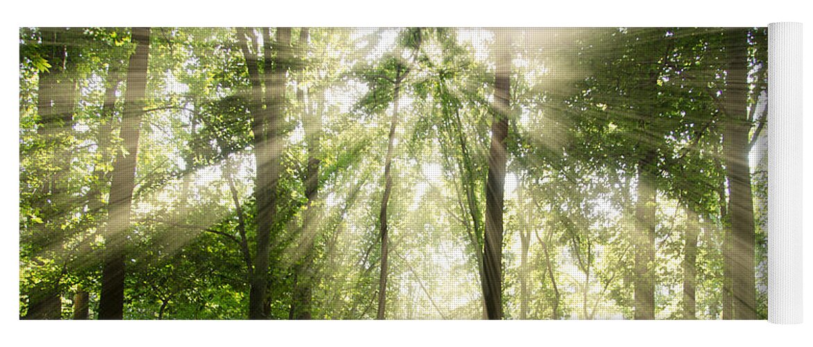 Sun Yoga Mat featuring the photograph Sun Rays Through Treetops Rural Landscape by PIPA Fine Art - Simply Solid