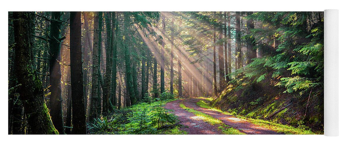 Landscape Yoga Mat featuring the photograph Sunbeams in Trees by Jason Brooks