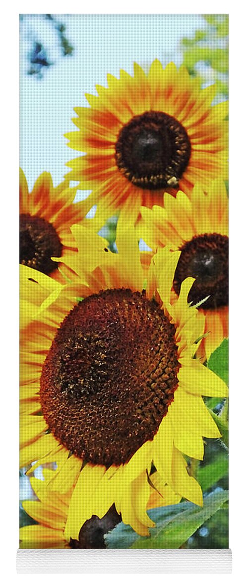 Summer Yoga Mat featuring the photograph Sunflower 46 by Lizi Beard-Ward