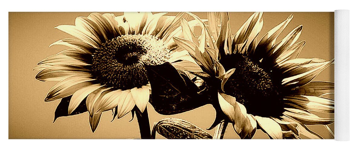 Sunflower Yoga Mat featuring the photograph Sunflower Duo in sepia by Alexis King-Glandon