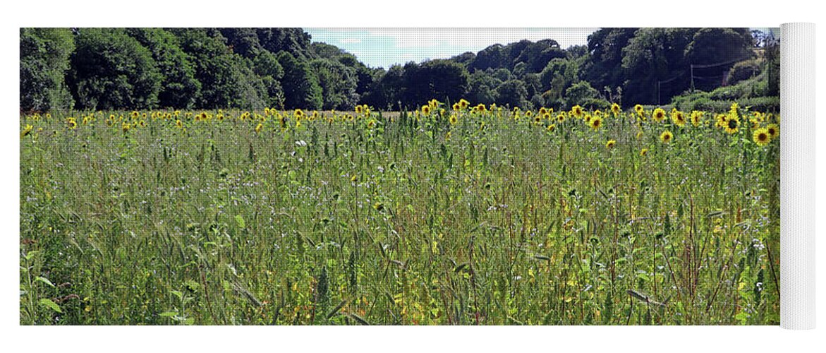 Sunflower Field Yoga Mat featuring the photograph Sunflower Field by Tony Murtagh