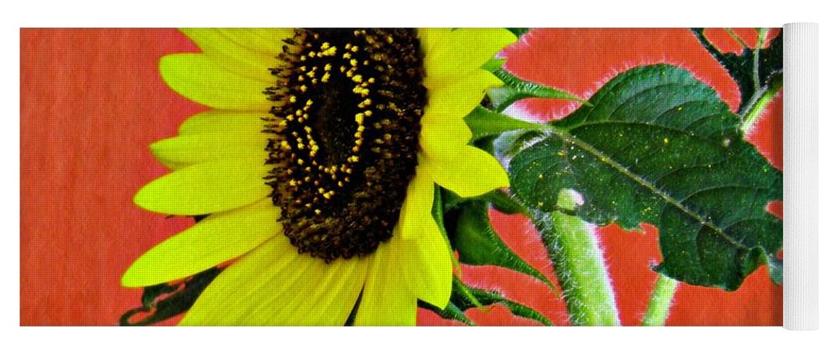 Sunflower Yoga Mat featuring the photograph Sunflower on Red 2 by Sarah Loft