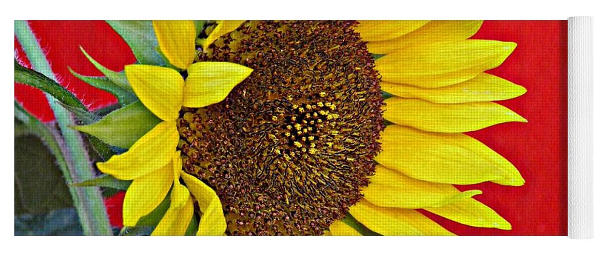 Sunflower Yoga Mat featuring the photograph Sunflower on Red by Sarah Loft