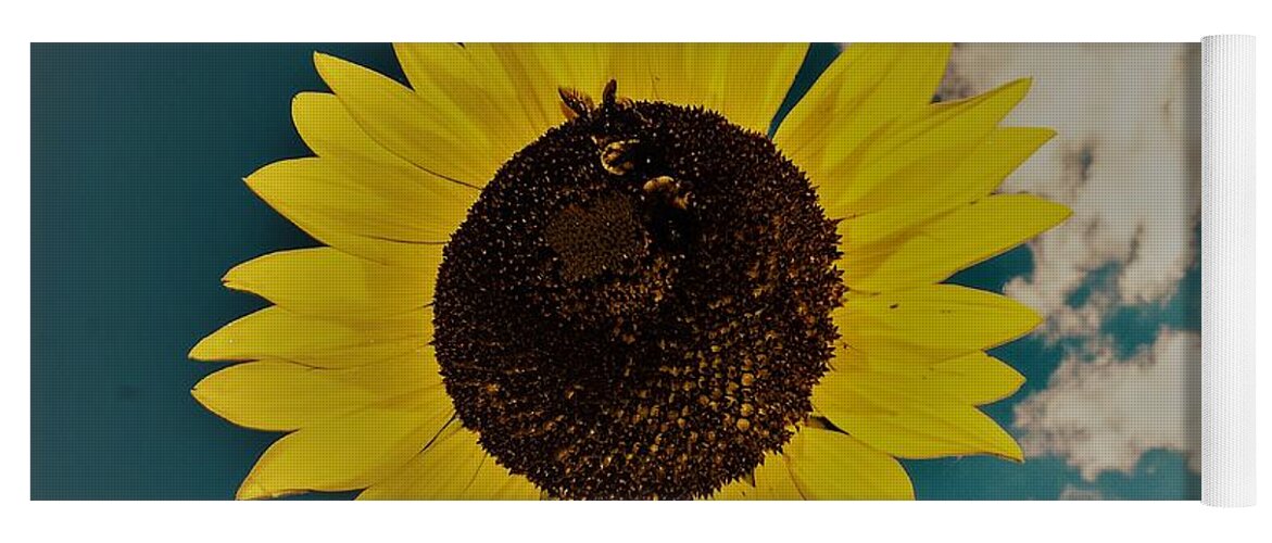 Sun Yoga Mat featuring the photograph Sunflower by Randy Sylvia