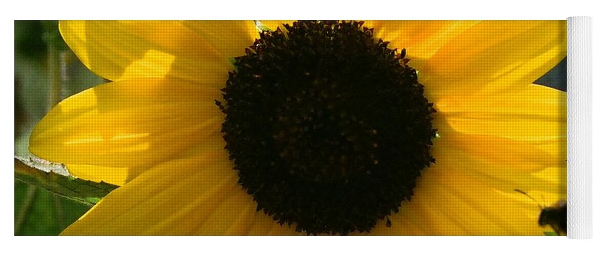 Flower Yoga Mat featuring the photograph Sunflower with Bee by Dean Triolo