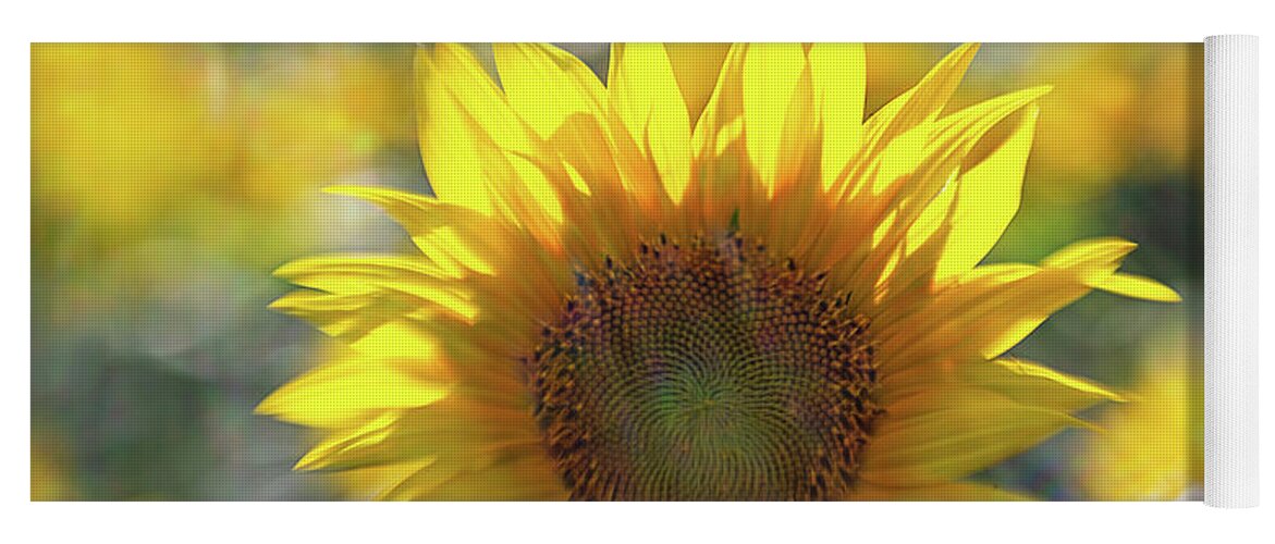 Flower Yoga Mat featuring the photograph Sunflower with Lens Flare by Natalie Rotman Cote