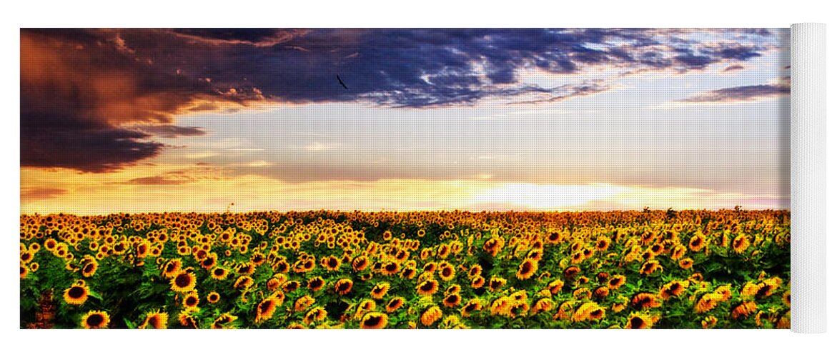 Clouds Yoga Mat featuring the photograph Sunflowers at Sunset by Eric Benjamin