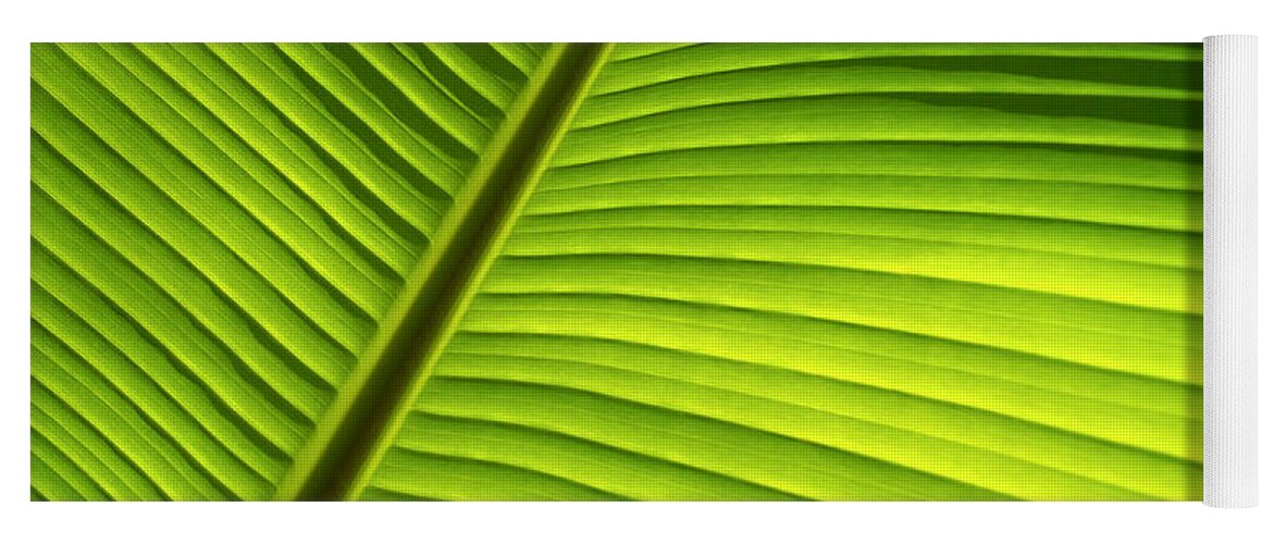 Background Yoga Mat featuring the photograph Sunlit Banana Leaf by Carl Shaneff - Printscapes