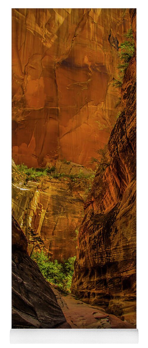 Beautiful Late Afternoon Sunlit Colors Light Up The Echo Canyon Slot Along The Observation Point Trail In Zion National Park. Yoga Mat featuring the photograph Sunlit Colors in the Slot by Doug Scrima