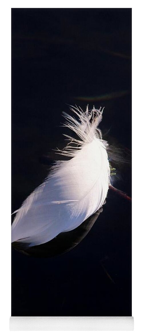 Karen Silvestri Yoga Mat featuring the photograph Sunlit Feather by Karen Silvestri