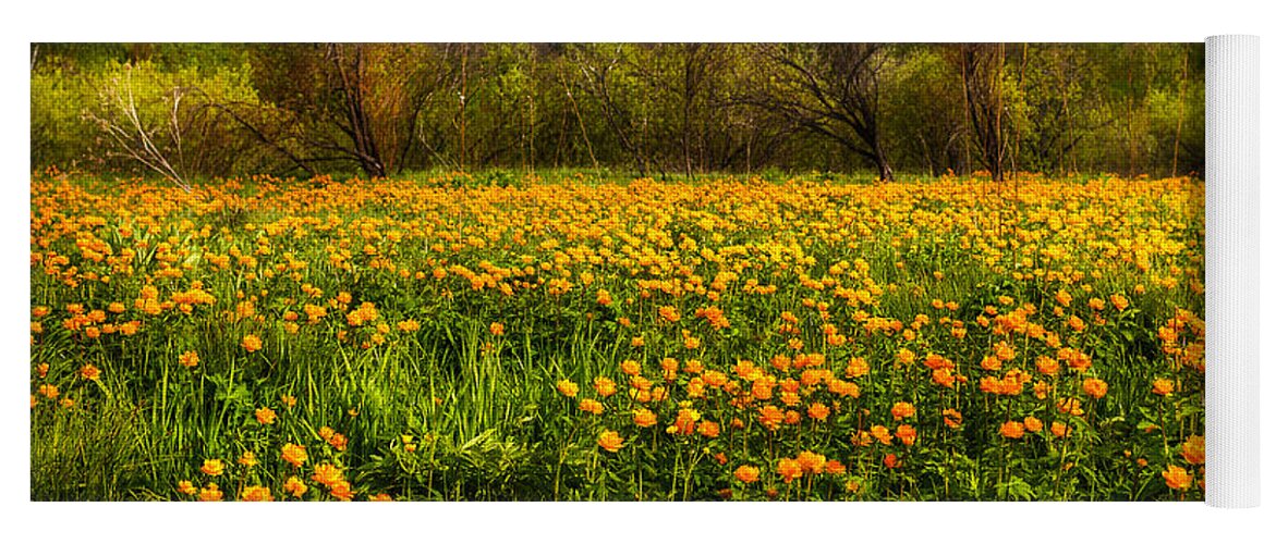 Buttercup Yoga Mat featuring the photograph Sunny Buttercups Field. Altai by Victor Kovchin