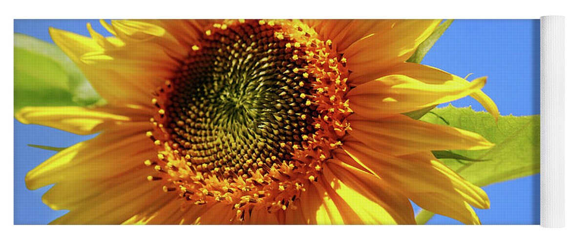 Sunflower Yoga Mat featuring the photograph Sunny Sunflower by Christina Rollo