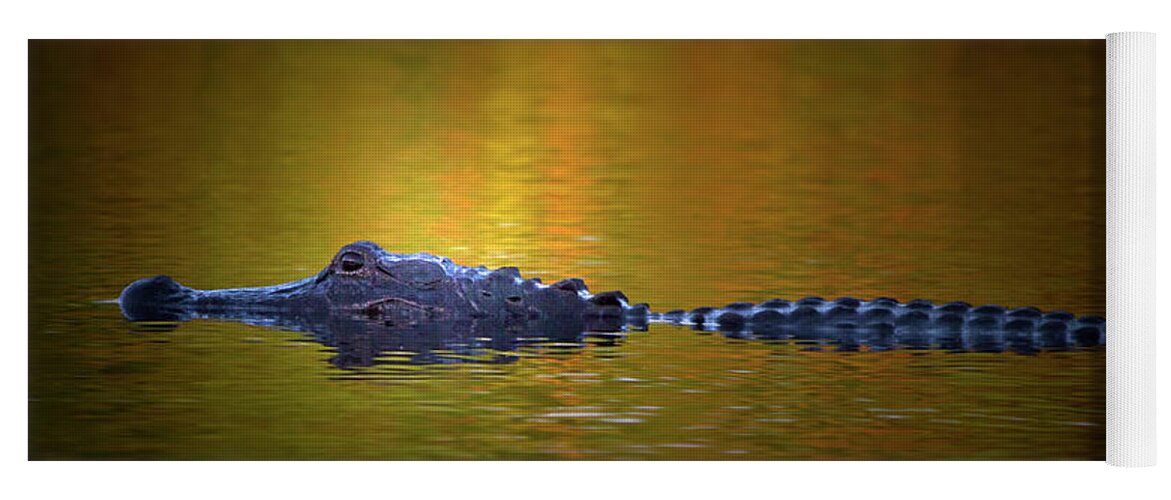 Alligator Yoga Mat featuring the photograph Sunrise Alligator by Mark Andrew Thomas