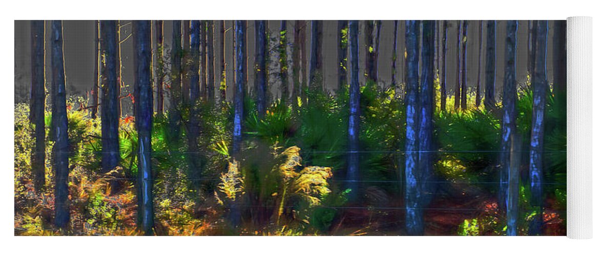 Tree Trunks Yoga Mat featuring the photograph Sunrise on Tree Trunks by Gina O'Brien