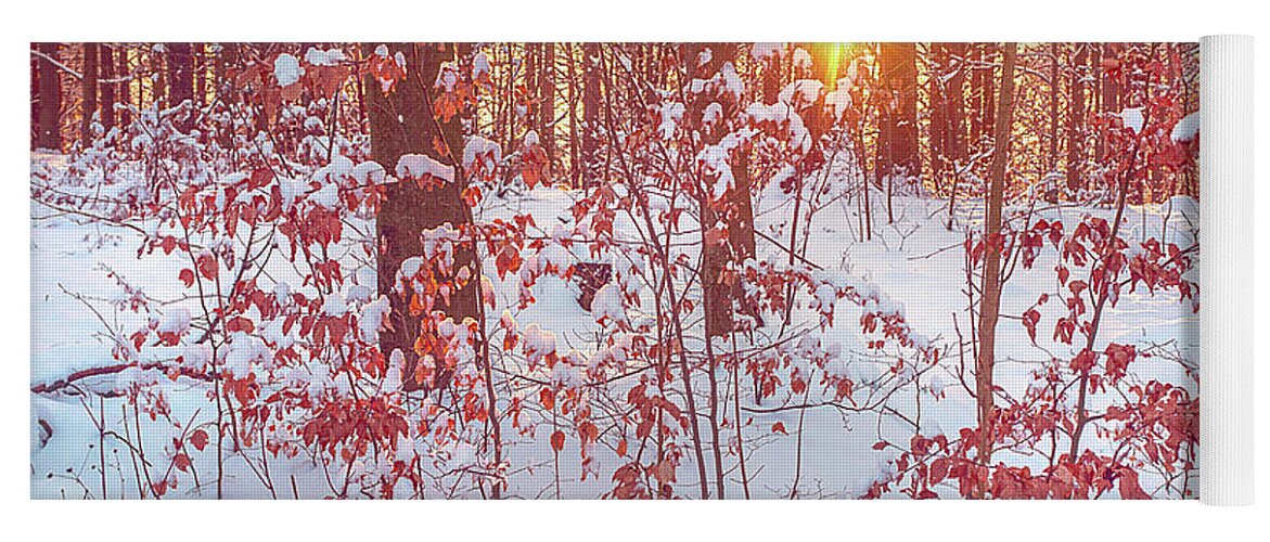 Jenny Rainbow Fine Art Photography Yoga Mat featuring the photograph Sunset in Winter Forest by Jenny Rainbow
