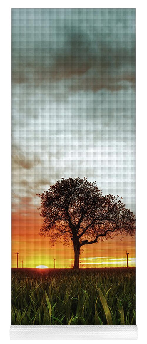 Tree Yoga Mat featuring the photograph Sunset by Marc Braner