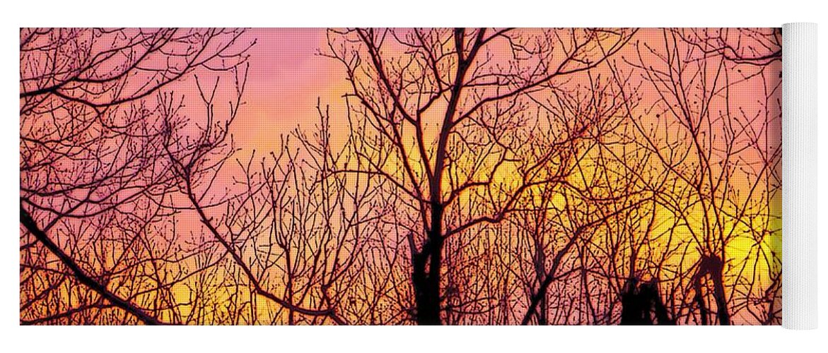 Sunset Sunsets Sky Color Tree Trees Craig Walters Photo Photograph Yoga Mat featuring the photograph Sunset Through the Trees by Craig Walters